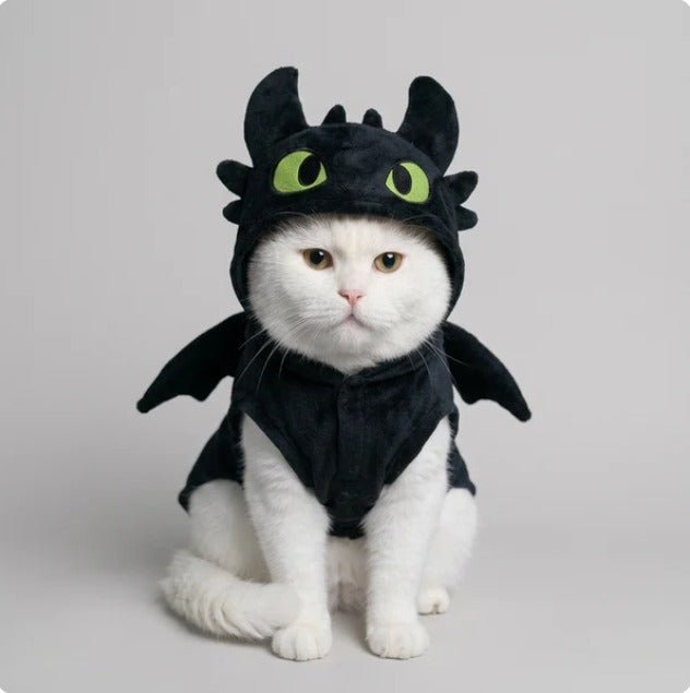 Handmade kitty custume