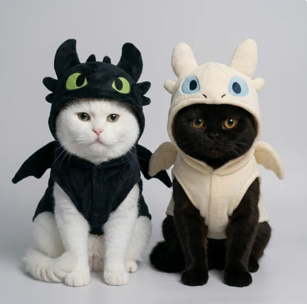 Handmade kitty custume