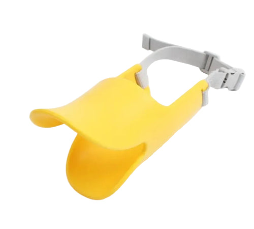 Silent duck